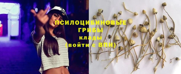 сатива Верхний Тагил