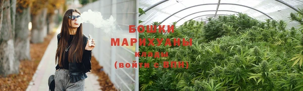 сатива Верхний Тагил